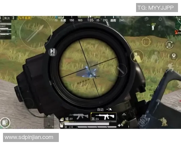 和平精英V5赛季节奏解析与热门战术分享